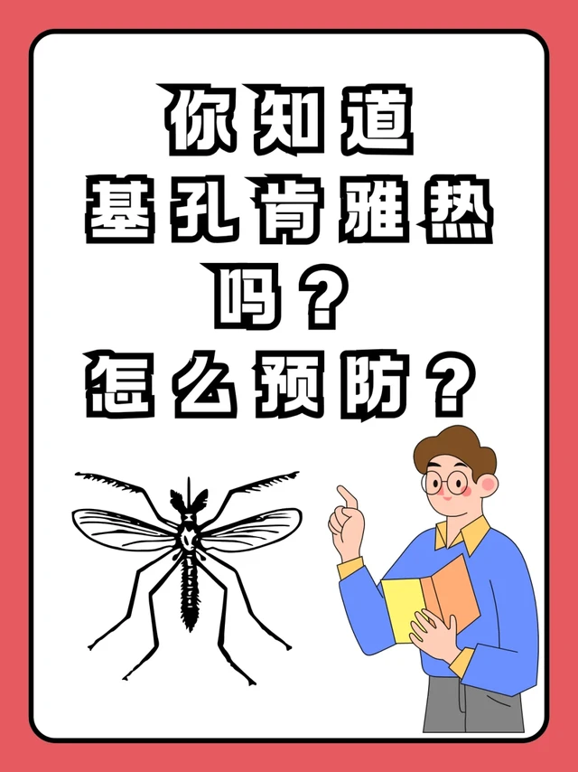 蚊子也能 “投毒”？基孔肯雅热防护必看！