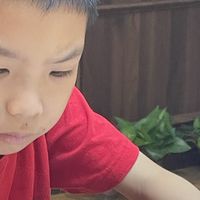 男娃英语如何入章？选对书，兴趣优先，听阅结合