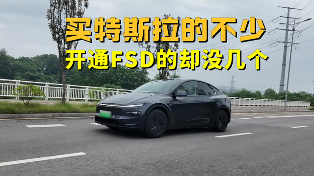 买特斯拉的人不少，开通FSD的却没几个？