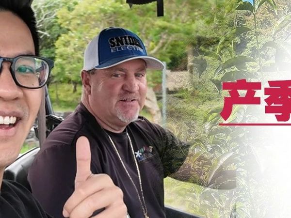 宸峄上新｜巴拿马布兰卡庄园新产季甄选好豆，限量发售！新鲜抵达！