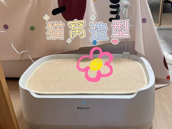 给新手养猫的，这净化器少走弯路