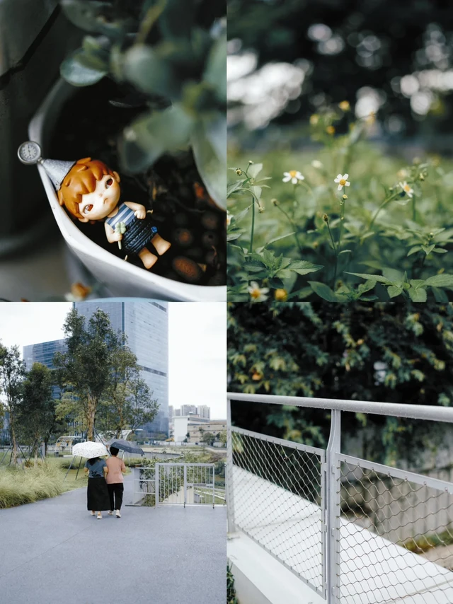 索尼a7c2 | 有些故事适合在雨后悄悄发酵