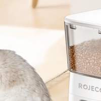 手把手教你如何给小猫咪选一款智能喂食器