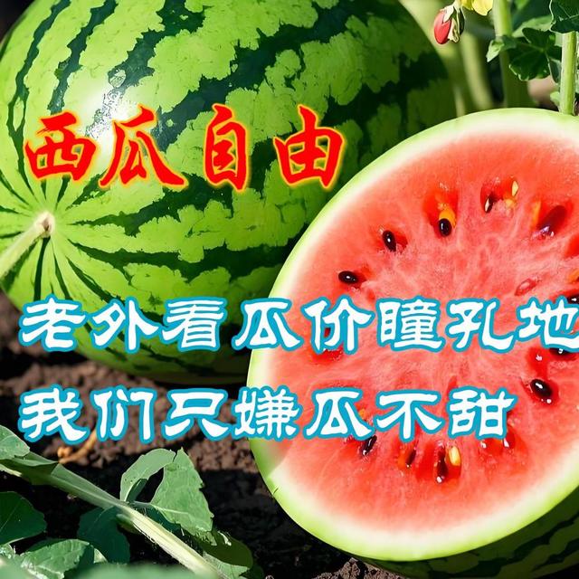 西瓜自由​：老外看瓜价瞳孔地震，我们只嫌瓜不甜