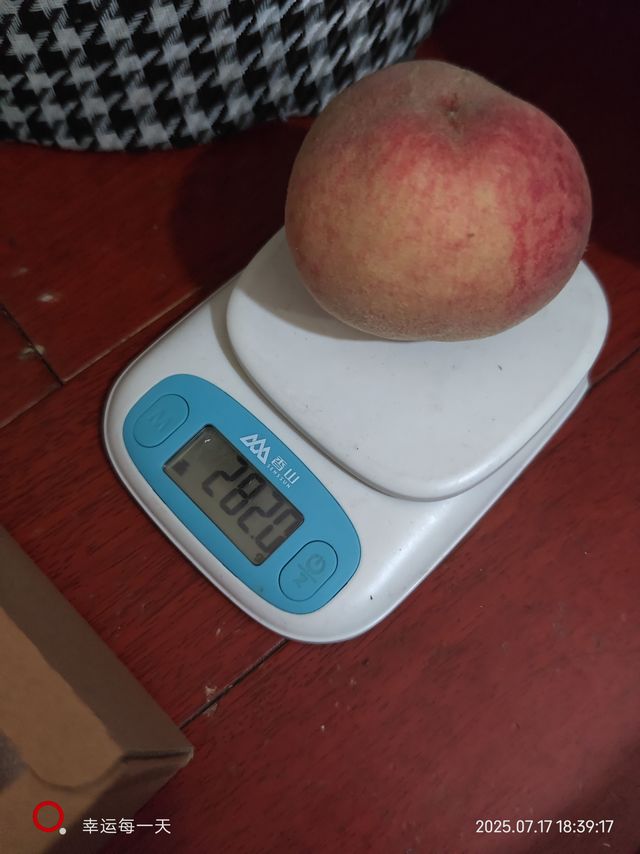 套路太深