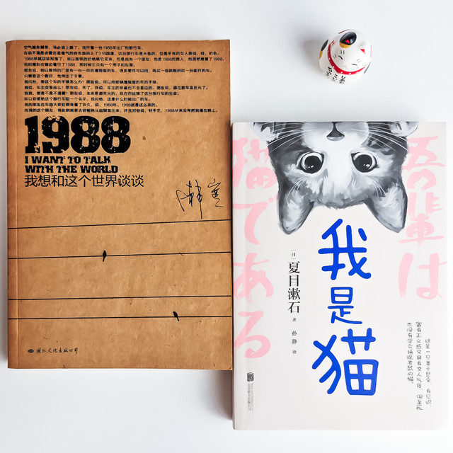 推书｜酷暑看“凉”书，心静自然凉——再读《1988》和《我是猫》