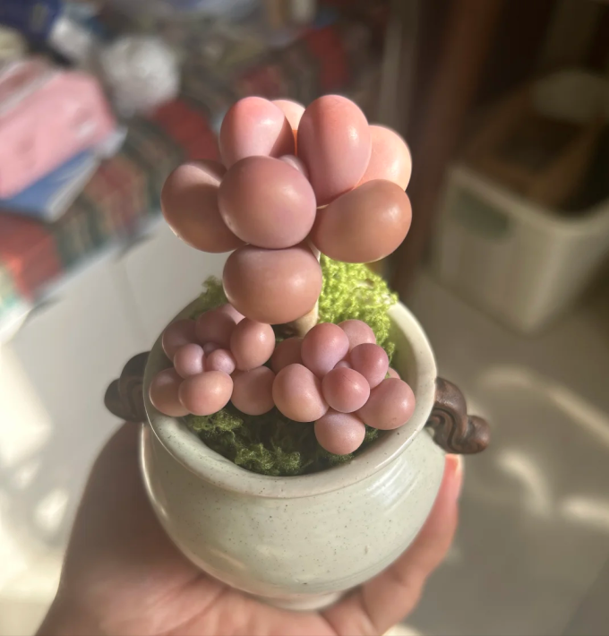 米族花架/装饰架