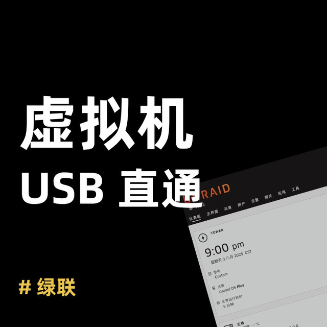 把 Unraid “塞进”绿联虚拟机？这个 USB 直通技巧太骚了!