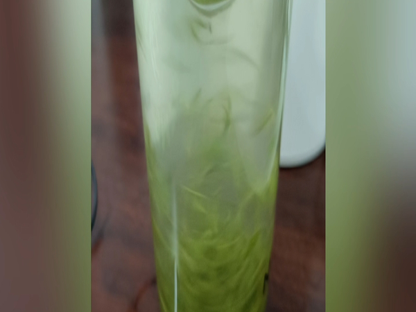 夏天还是淡碧螺春最好喝