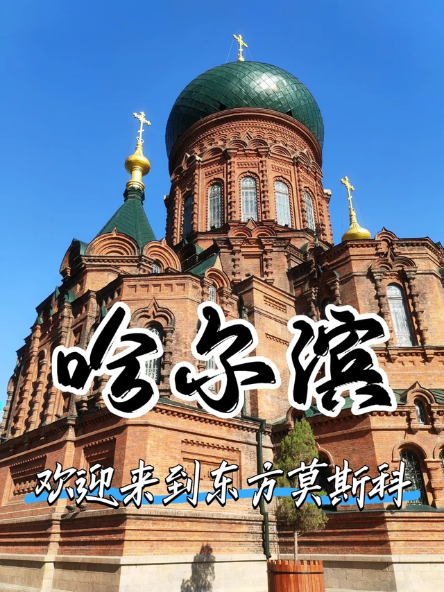 ❄️ 哈尔滨精华攻略 | 学姐诚意力荐！