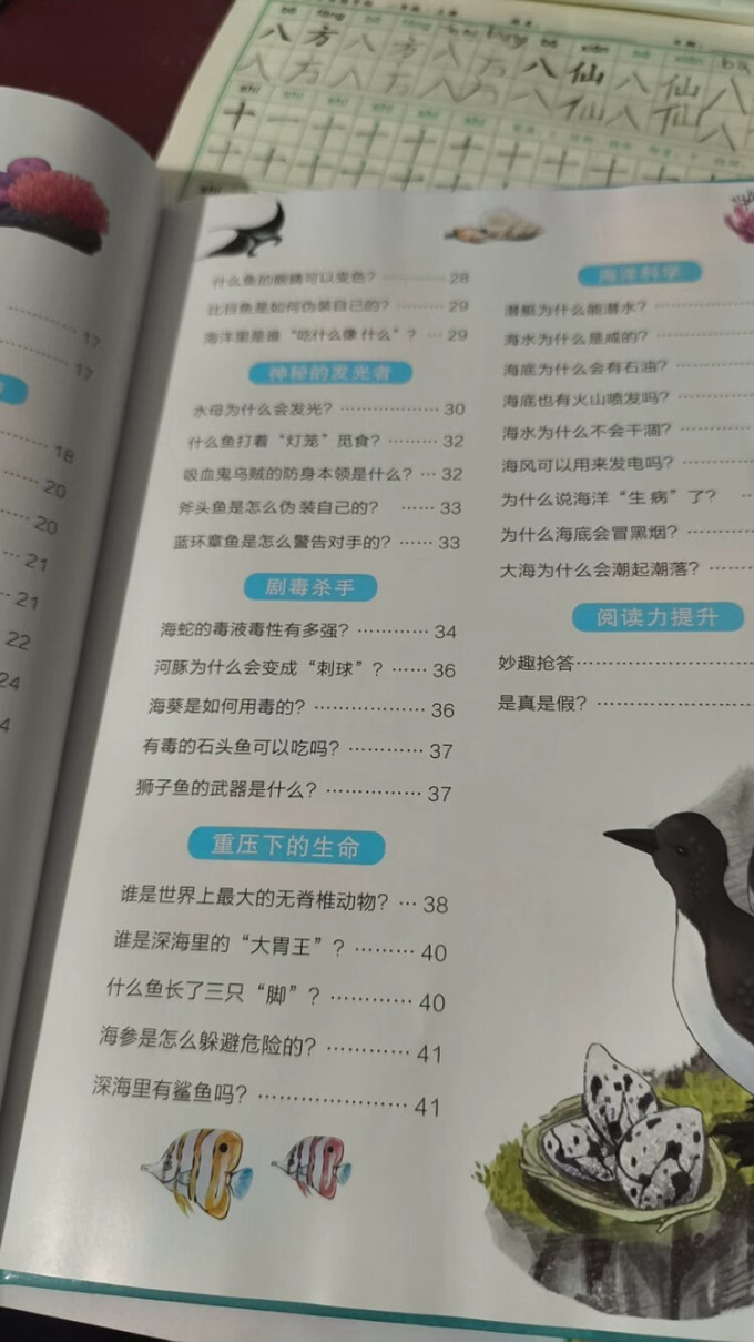 书法收藏