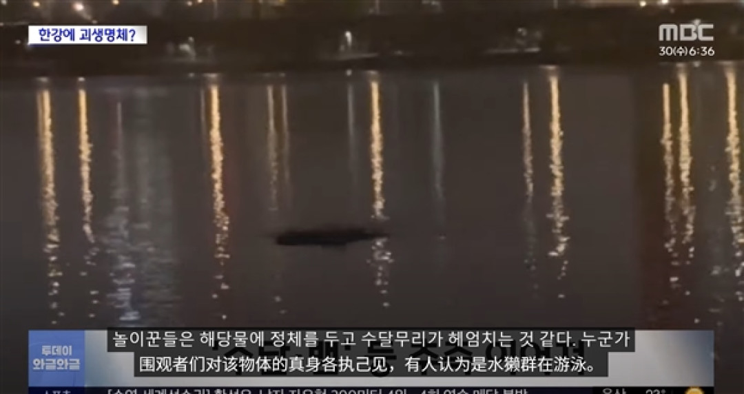 韩国汉江惊现巨型不明物体引恐慌:已有先例 可能又是浮漂