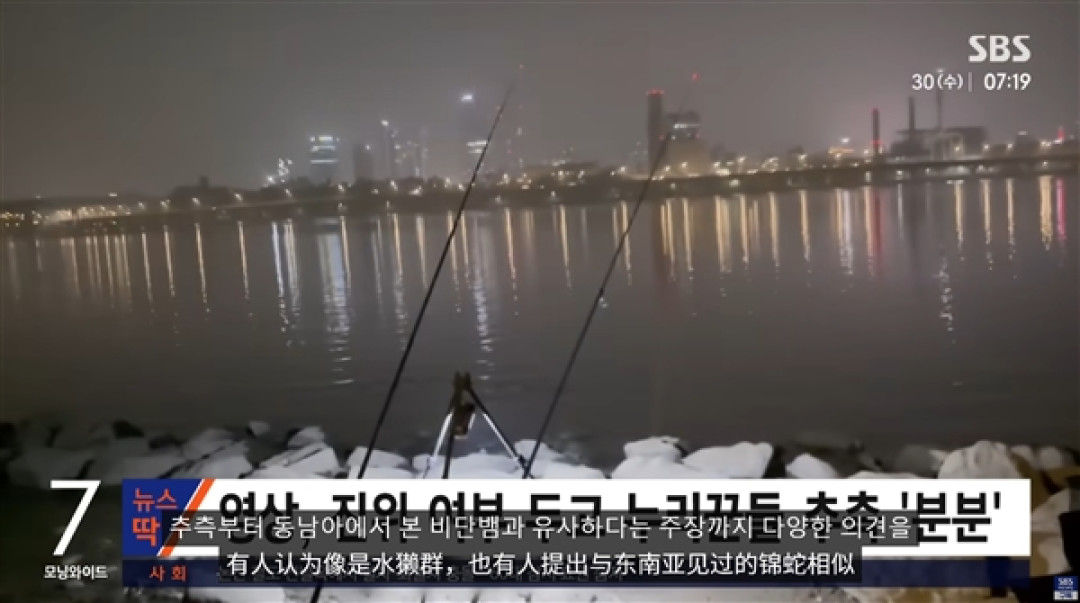 韩国汉江惊现巨型不明物体引恐慌:已有先例 可能又是浮漂