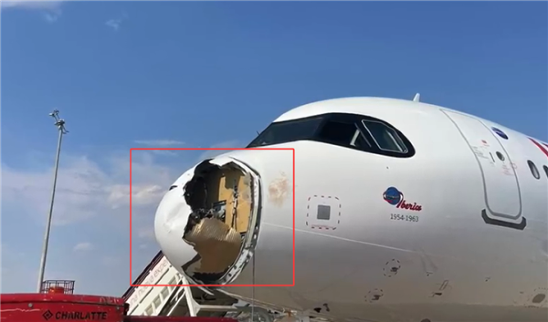西班牙一空客A321起飞后遭鸟击:机头严重受损 被迫返航