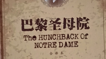 穿越时空的震撼：《巴黎圣母院》阅读体验