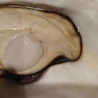 乳山大生蚝怎么吃最新鲜