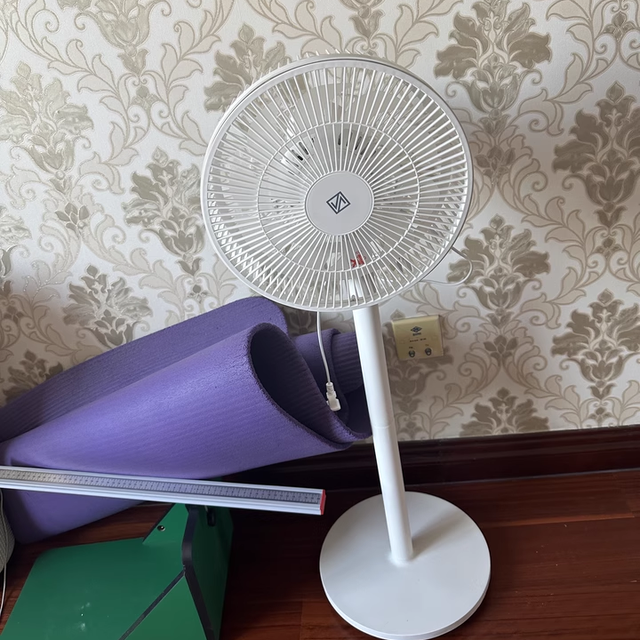 国补入手不亏！即品电风扇，米家加持的夏日清凉神器