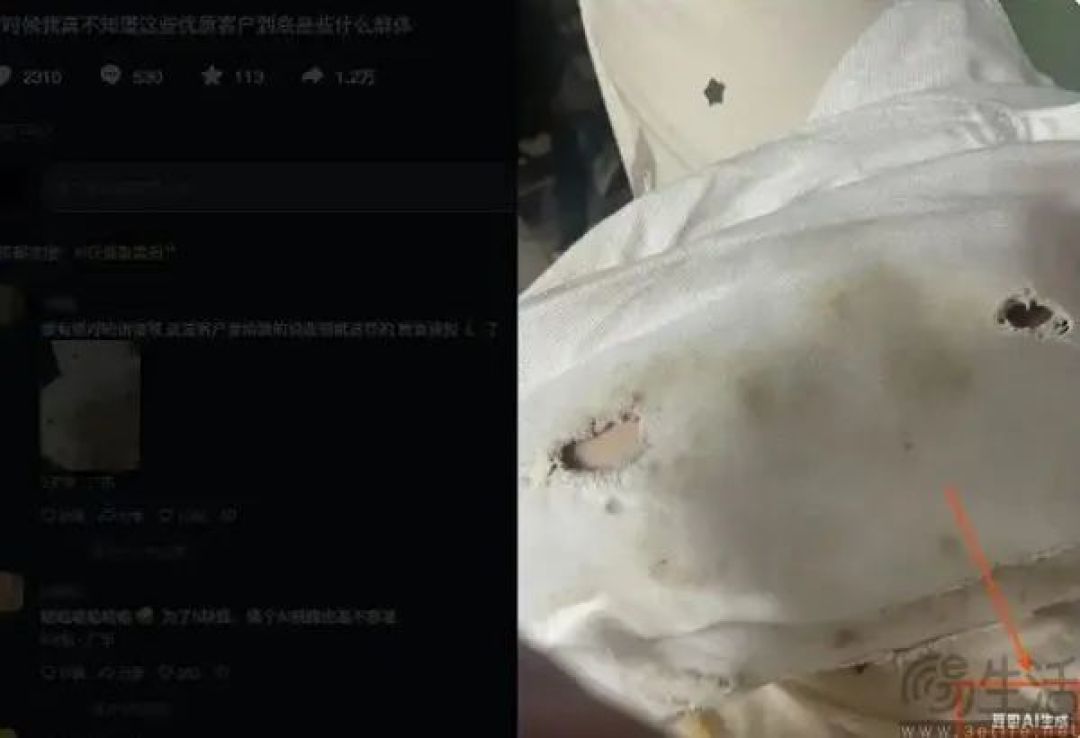 赋能万物真不是说说，羊毛党都开始用AI骗商家仅退款了