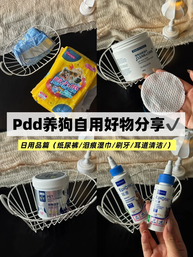 Pdd养狗自用好物分享2️⃣ | 日用品篇