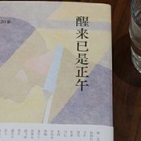 醒来已是正午：2023年短篇小说20家 当当