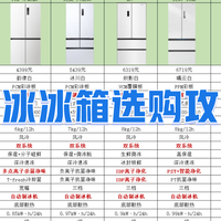 不同预算制冰冰箱推荐:从 3000 到 10000 元,功能对比详解