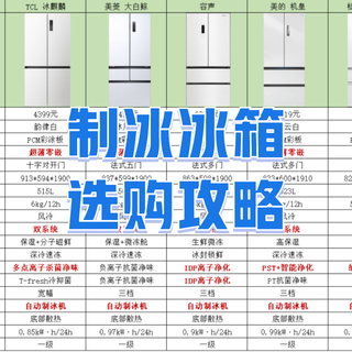 不同预算制冰冰箱推荐:从 3000 到 10000 元,功能对比详解