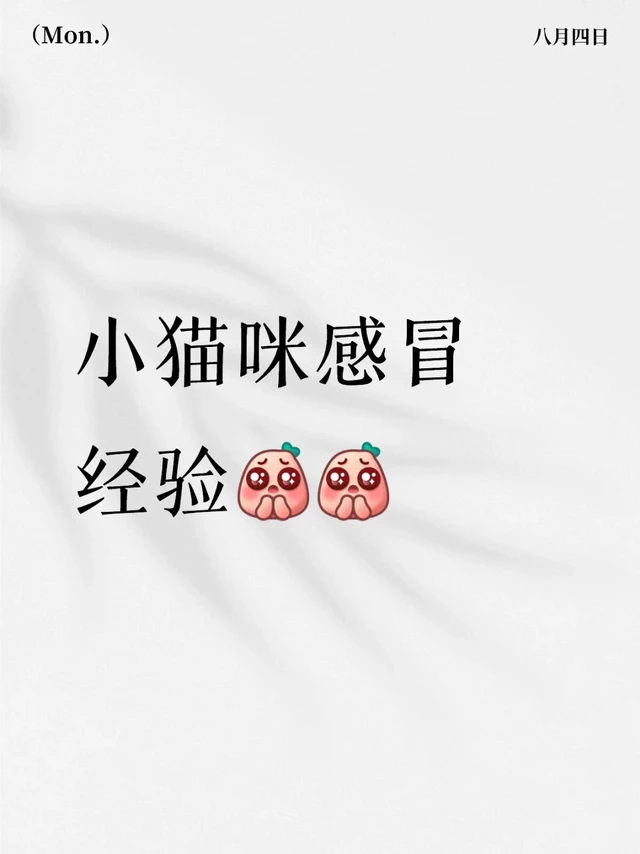 小猫咪感冒经验[皱眉R][皱眉R]