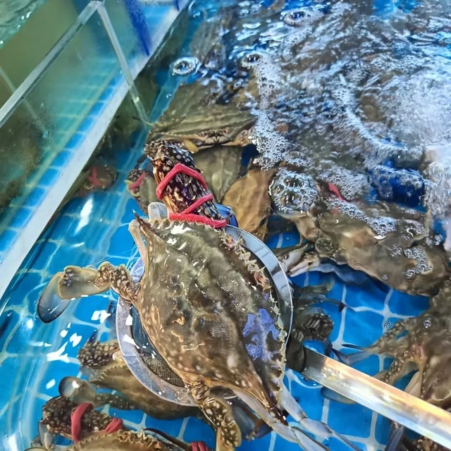 来永辉，我帮你挑选肥美鲜活的梭子蟹