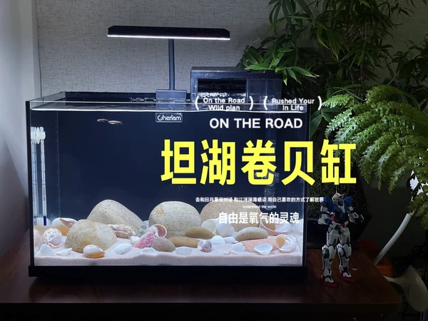 开个40悬浮感坦湖卷贝缸。一直想开个坦湖造景的卷贝缸，今天终于动手了，下面我把开缸所需要的一些设备和造景材料，还有开缸过程中会遇到的一些问题说明一下，希望对大家有所帮助。
鱼缸：
彻朗40金晶超白缸，