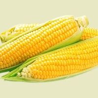 电养青年怎么养生？先从吃上面开始吧！