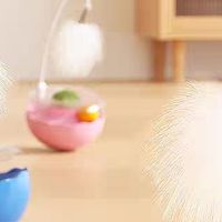  幼猫自嗨玩具套装｜解放双手的萌宠成长神器
