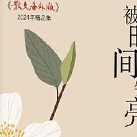 被时间镀亮： 《散文海外版》2024年精品集 当当