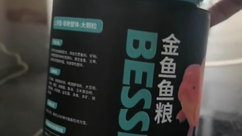 贝森 BESSN 鱼食：兰寿金鱼与泰狮的专属健康之选