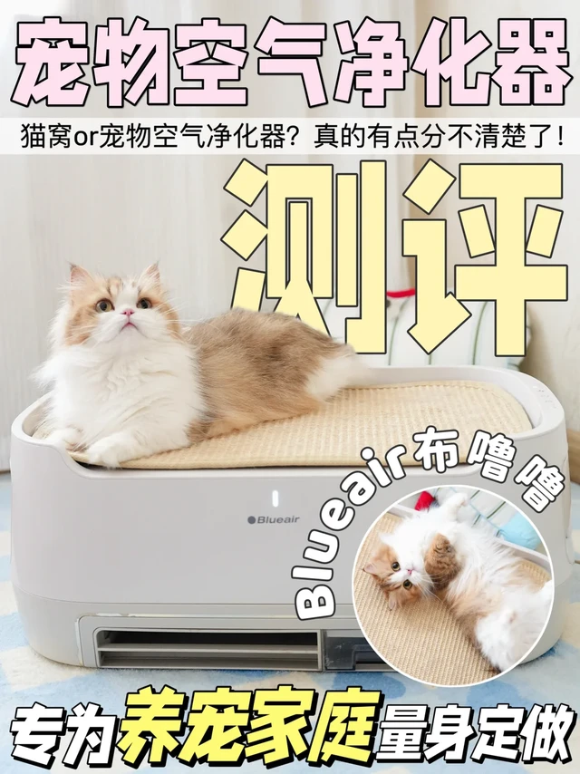 宠物空气净化器测评，这款真的是谁用谁夸