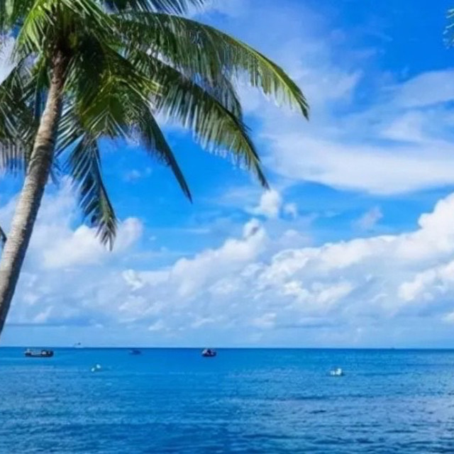 海南旅游指南：碧海蓝天下的度假天堂