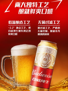 百威经典纯生，整箱畅饮新体验