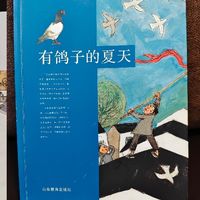 《有鸽子的夏天》——鸽哨悠扬的童年守护！