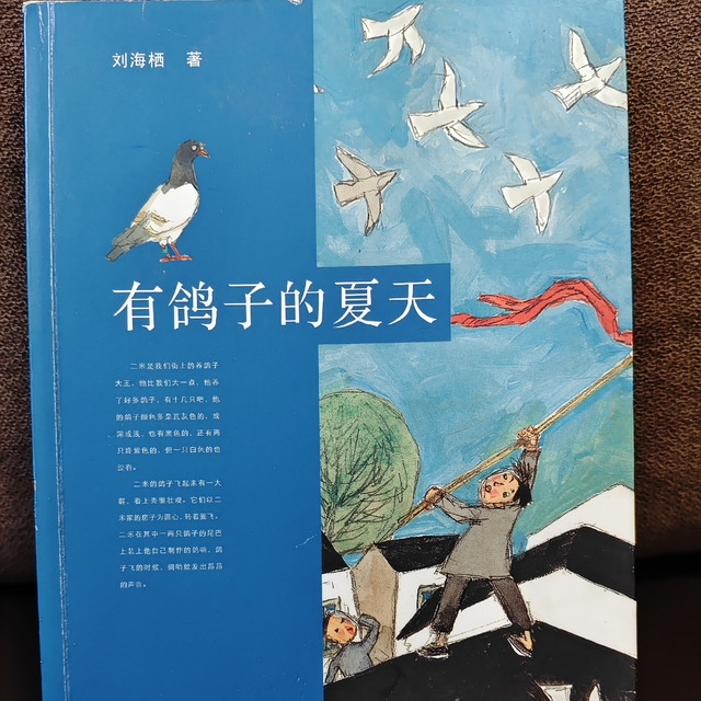 《有鸽子的夏天》——鸽哨悠扬的童年守护！