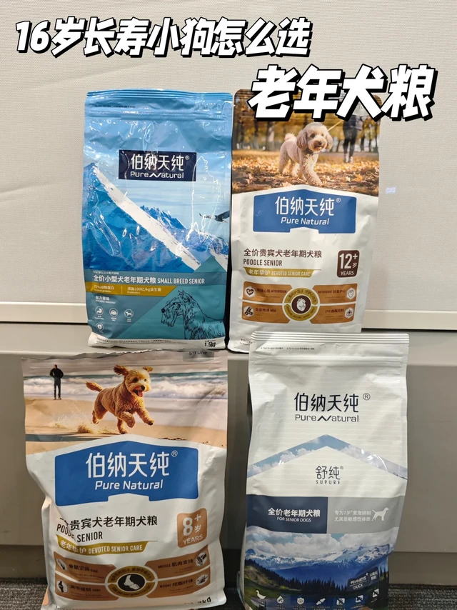 16岁长寿小狗怎么选老年犬粮
