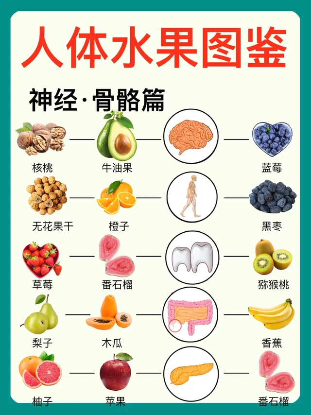 🚫别再乱吃水果了！18个器官最爱的水果④