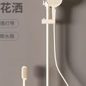德国全铜恒温花洒套装
