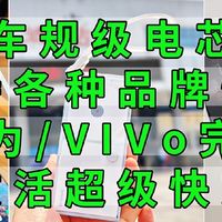 充电宝界的堆料王，车规级电芯，能上飞机高铁，支持各种快充协议