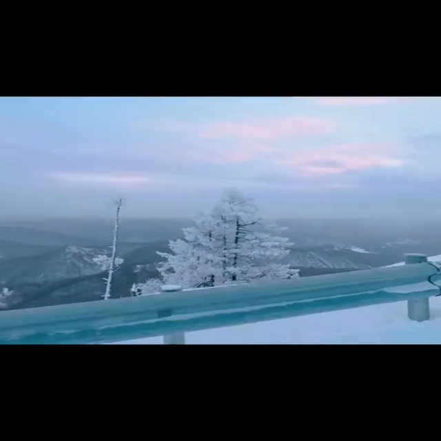旅行