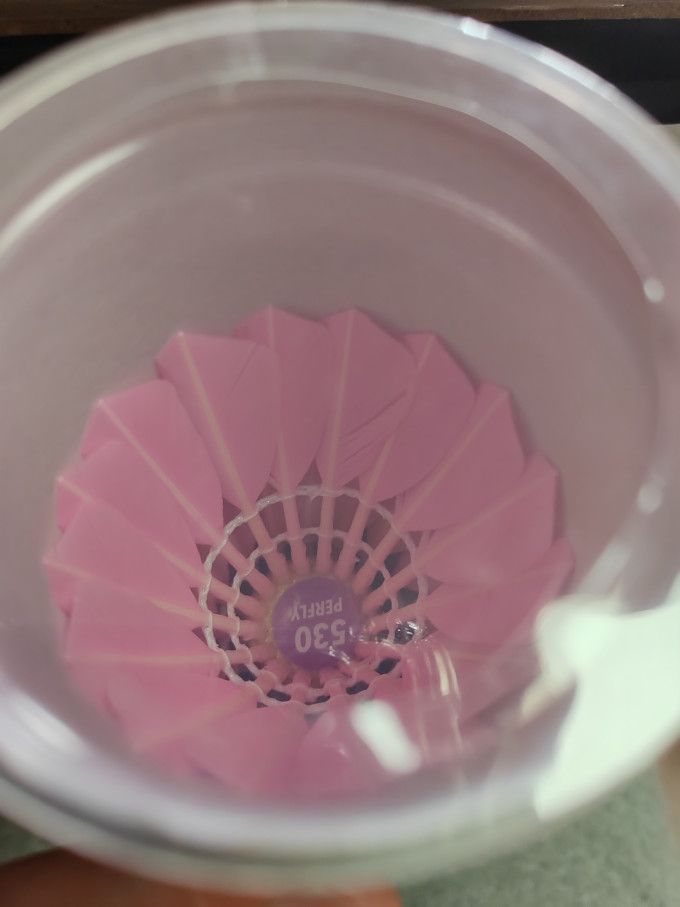 迪卡侬羽毛球