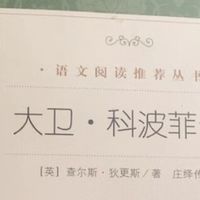 从《大卫·科波菲尔》到《复活》的深度阅读