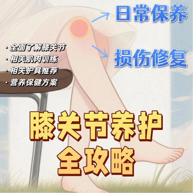 膝关节养护全攻略：从日常保养到损伤修复