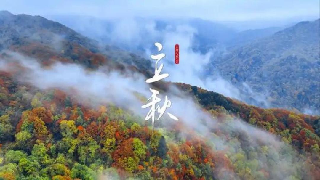 立秋养生避坑指南：饮食调理、作息调整、运动禁忌全解析