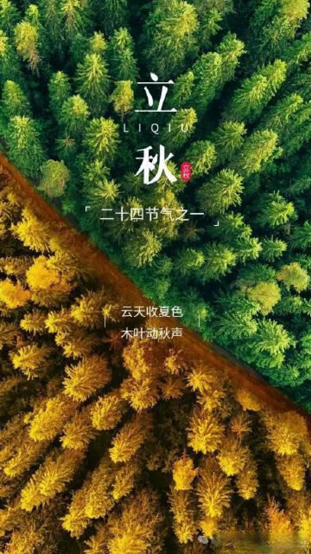 立秋养生避坑指南：饮食调理、作息调整、运动禁忌全解析