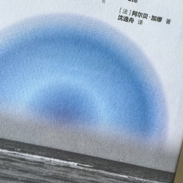 🌞夏日读好书 | 加缪三重奏：在炽热阳光里晒透灵魂的焦虑🌊
