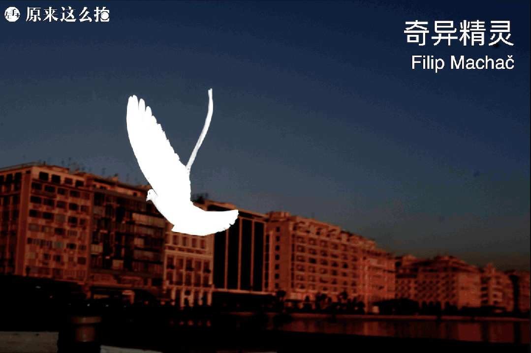 站在大师的肩膀上·第二期重磅来袭